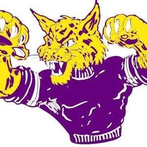 Event Home: William S Gussner Elementary PTO 3K Inflatable Fun Run